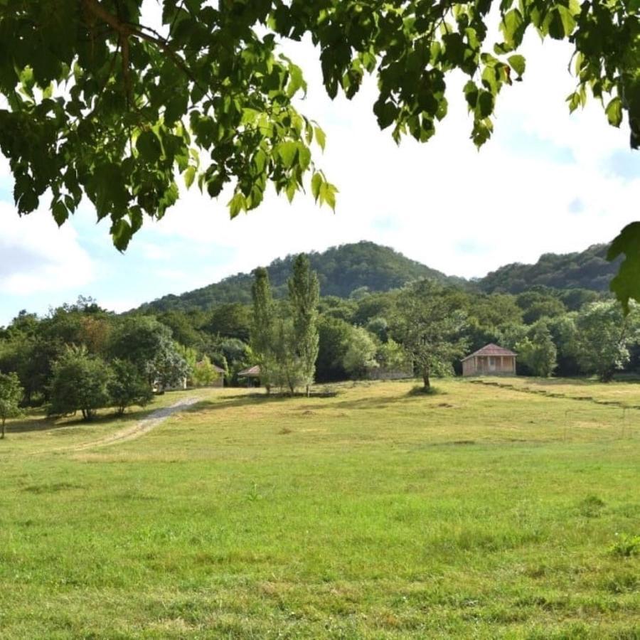 Grand Village Ismayilli Zewnętrze zdjęcie