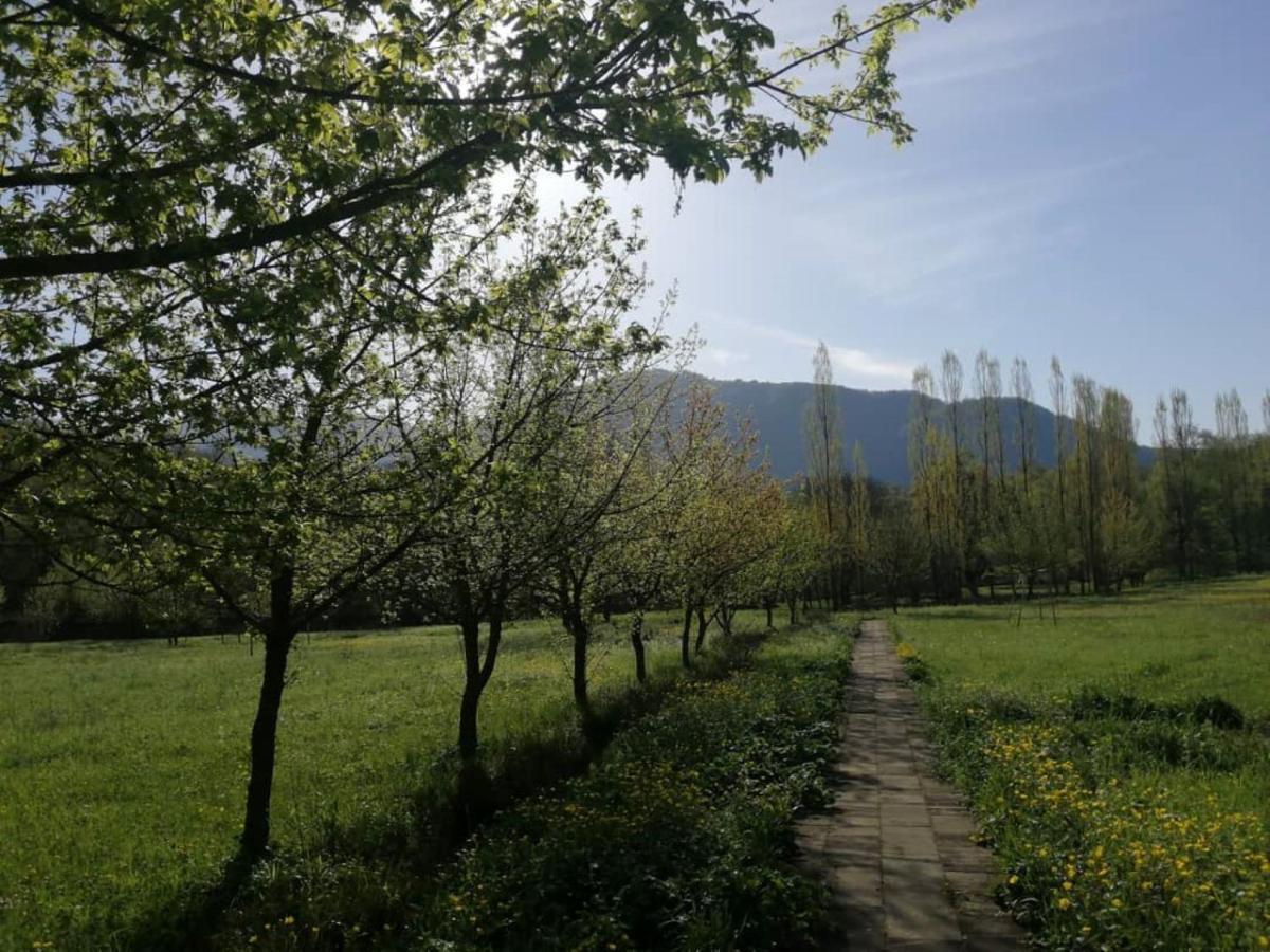 Grand Village Ismayilli Zewnętrze zdjęcie