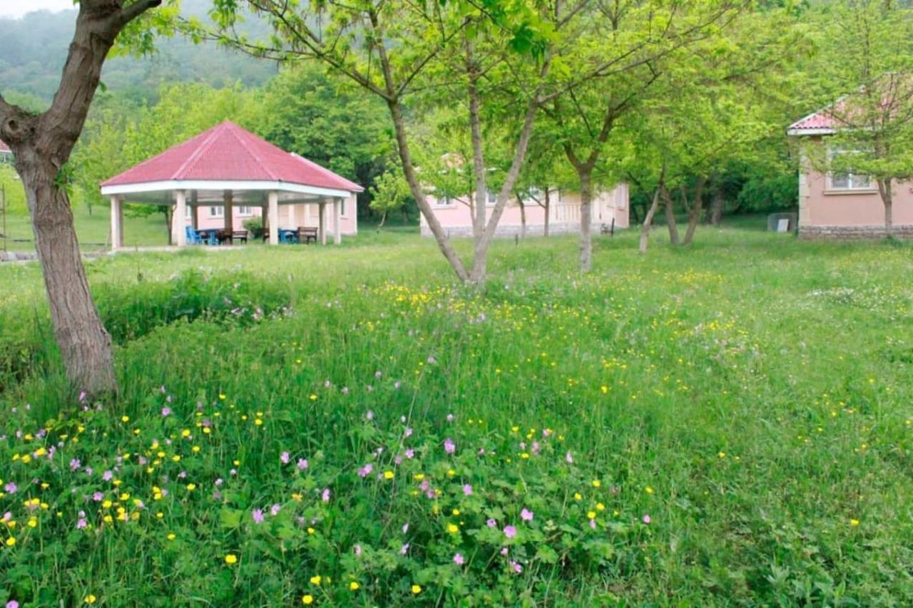 Grand Village Ismayilli Zewnętrze zdjęcie